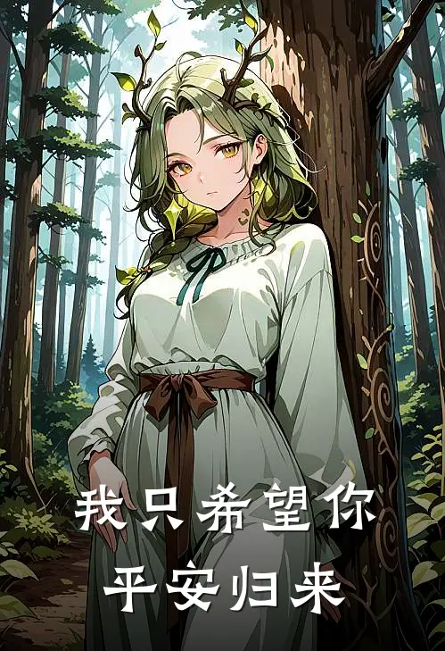 我只希望你平安归来