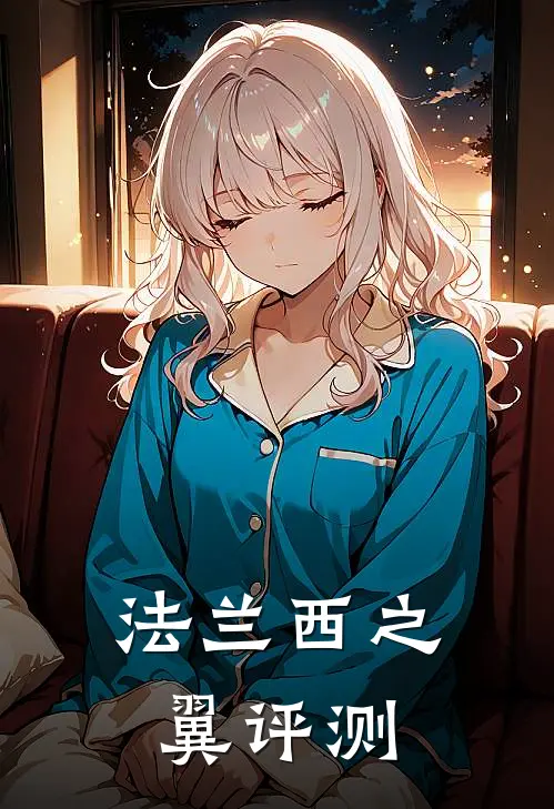 法兰西之翼评测