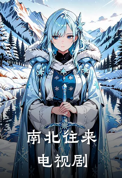 南北往来电视剧